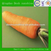 wholesale 2012 new crop fresh carrot from China