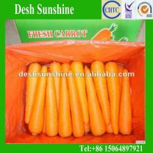 Export 2012 China Fresh Red Carrot