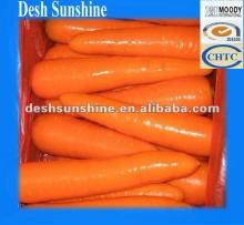 2012 Chinese Fresh Red Carrot exporter
