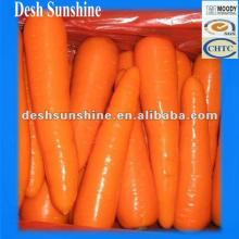 2012 Chinese Fresh Red Carrot Supplier