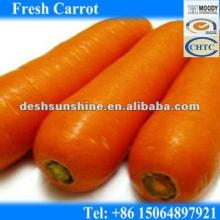 Export 2012 New Corp Chinese Fresh Red Carrot