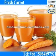 Hot Sale 2012 Chinese Fresh Carrot (70-300g)