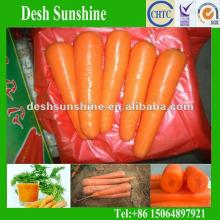 Export 2012 China Fresh Red Carrot (70-250g)