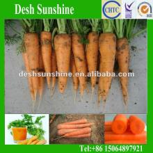 Export 2012 China Fresh Red Carrot (75-250g)