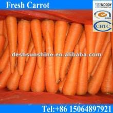 Supply 2012 New Corp (Grade A) Chinese Fresh Red Carrot for Juice (70-300g)