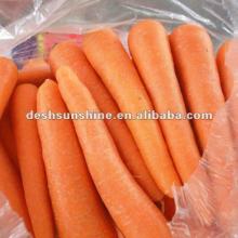 2012 New Crop Grade A fresh china carrot