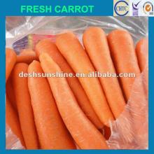2012 New Crop  fresh   chinese   carrot (150-200g)
