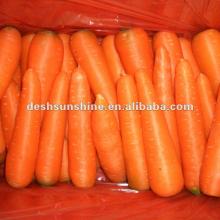 2012 New Crop chinese fresh carrots(S,M,L)