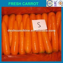2012 New Crop Grade A Chinese fresh small carrot