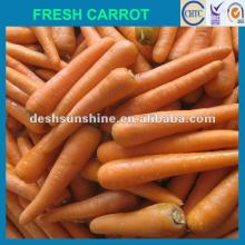 2012 New Crop Grade A Chinese fresh yellow carrot