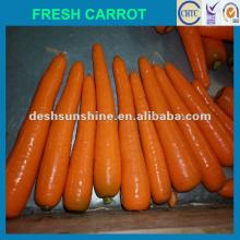 2012 New Crop Grade A Chinese fresh washed carrots