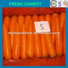 2012 New Crop Grade A fresh vegetables baby carrots(