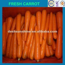 2012 New crop fresh vegetables carrot,good quality,cheap price