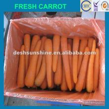 2012 New crop China shandong fresh yellow carrot,good quality,cheap price