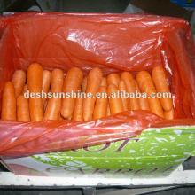 2012 Chinese Grade A new crop  red   fresh   carrot (Good Quality,Cheap Price)