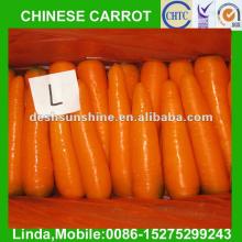 2012 New Crop China  import   fresh   carrots (S,M,L,2L,3L)