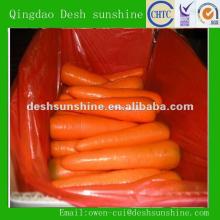 2012 new crop Chinese fresh yellow carrot price