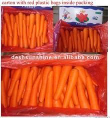 2012 new crop fresh carrots for sale