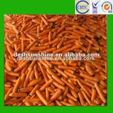Export 2012 new crop fresh Chinese carrot price