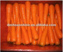 2012 new crop wholesale fresh red carrot price