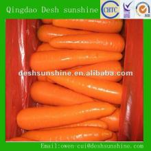 2012 new crop fresh Chinese carrot price for sale