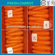 2012 New Crop Grade A Chinese fresh carrots specification