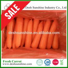 Wholesale China Red Fresh Carrot