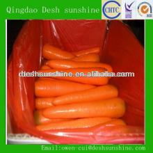2013 new crop fresh organic carrot