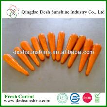 organic wholesale carrot carton box