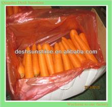 low price Chinese 2013 new crop organic carrot