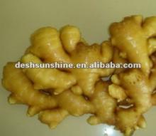 New Crop Fresh Ginger price