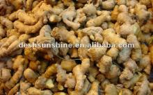 2012 new crop ginger market price