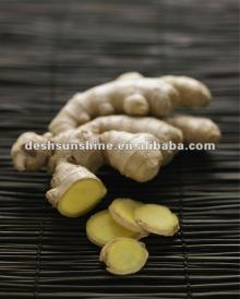 fresh organic ginger price