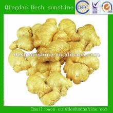 2012 new crop dried ginger price for sale