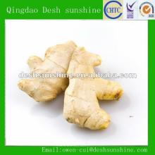 Export 2012 new crop air dried ginger price