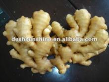 fresh air-dried ginger price