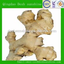 2012 new crop air dry ginger price for sale
