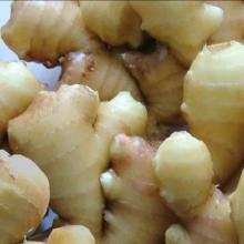 Top Quality 2012 Chinese Young Ginger