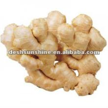 Top Quality 2012 Chinese new crop Ginger