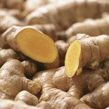 Top Quality 2012 Chinese Top Quality Young Ginger