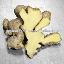 Competitive Price Top Quality Chinese mature ginger
