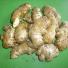 Low Price 2012 Chinese Top Quality New Crop Ginger