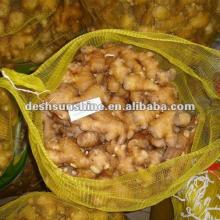 New Crop Grade A china ginger