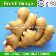 Grade A Chinese fresh ginger price