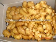 Sell ginger(Grade A China product)