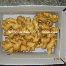 New crop Grade A china  150g   ginger 