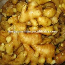 Grade A china yellow ginger(100-350g)