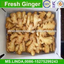 Grade A Chinese fresh ginger export