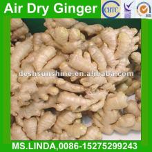 Grade A chinese air dry ginger(100-350g)