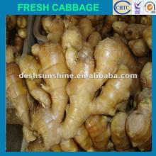 2012 New crop Grade A ginger market price)